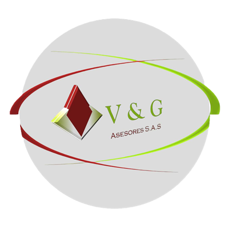 VyGSoft